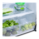 REFRIGERADORA NO FROST QZ 381LT R600 LAMINA ANTIHUELLA 74X78X185 INOX/-INDURAMA