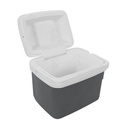 HIELERA PERSONAL 4.5LT GRIS-ESTRA