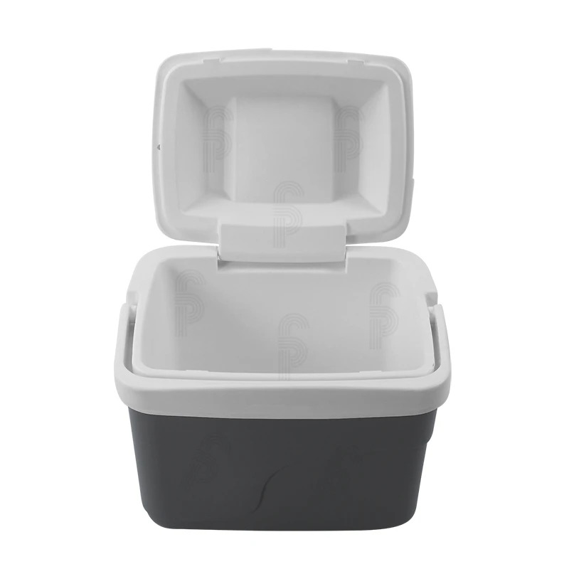 HIELERA PERSONAL 4.5LT GRIS-ESTRA