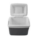 HIELERA PERSONAL 4.5LT GRIS-ESTRA