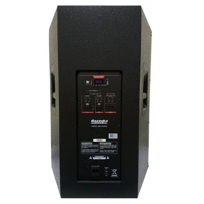CAJA AMPLIFICADA PROFESIONAL 15" 500W RMS USB NEGRO-BAZZUKA