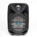 CAJA AMPLIFICADA RECARGABLE 8 PULGADAS - CASTELL