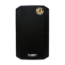 CAJA AMPLIFICADA PROFESIONAL 12" 400W USB/TWS/ NEGRO/-BAZZUKA BZK-P212