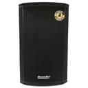 CAJA AMPLIFICADA PROFESIONAL 15" 500W RMS USB NEGRO-BAZZUKA