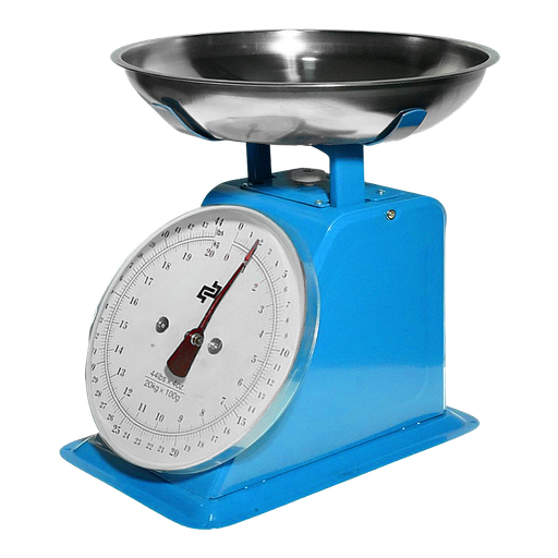 [BP02862] BALANZA DE MOSTRADOR 20KG REFORZADA PLATO ACERO INOX -BP